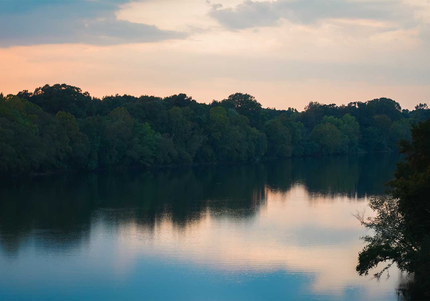 The Alabama River at sunset, with the light pink sky reflected in the water and dense green foliage along the riverbank.