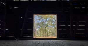An image of green trees against a blue sky taken from inside and framed by the doorway of a dwelling inhabited by enslaved people.