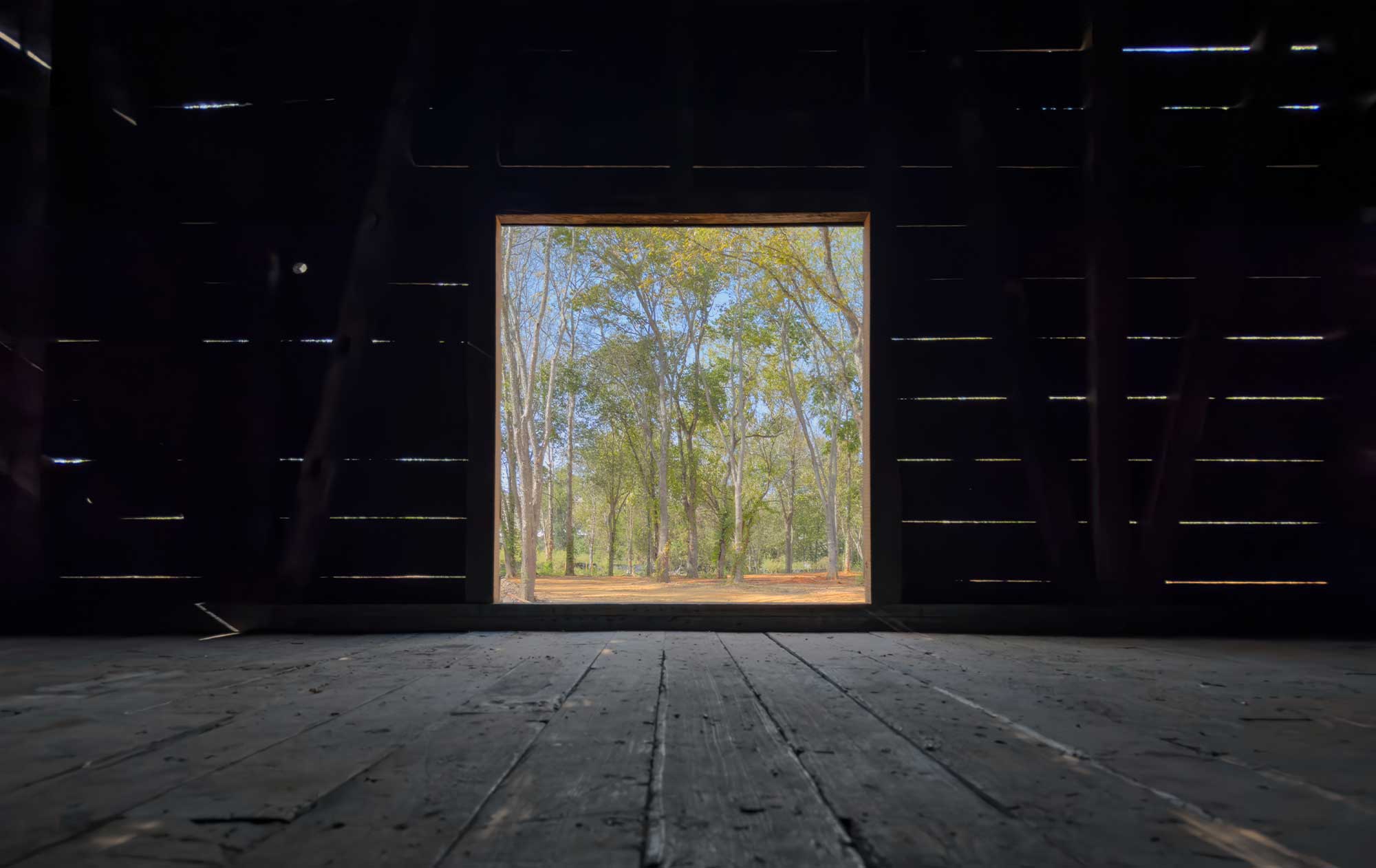 An image of green trees against a blue sky taken from inside and framed by the doorway of a dwelling inhabited by enslaved people.