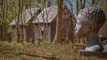 Buildings Immersed in Nature